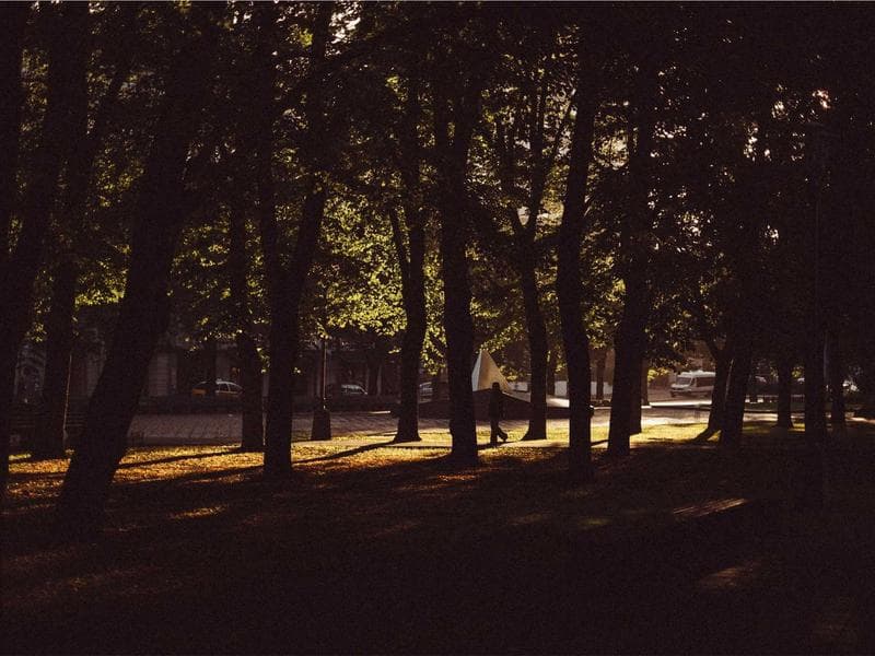 Library Expansion Complete