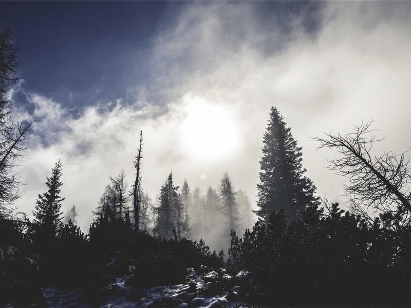 From Darkness to Light