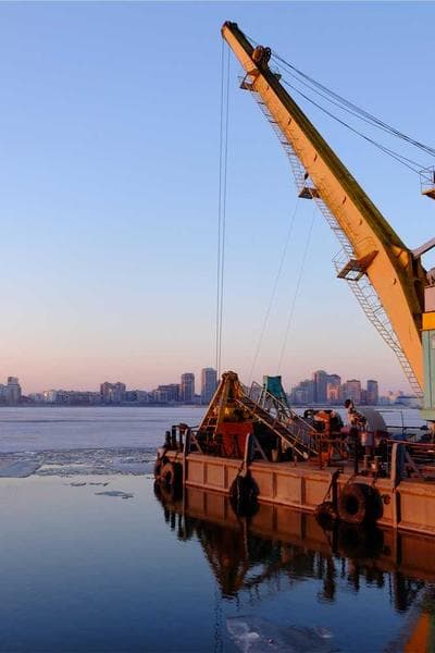 The Nectar of Devotion