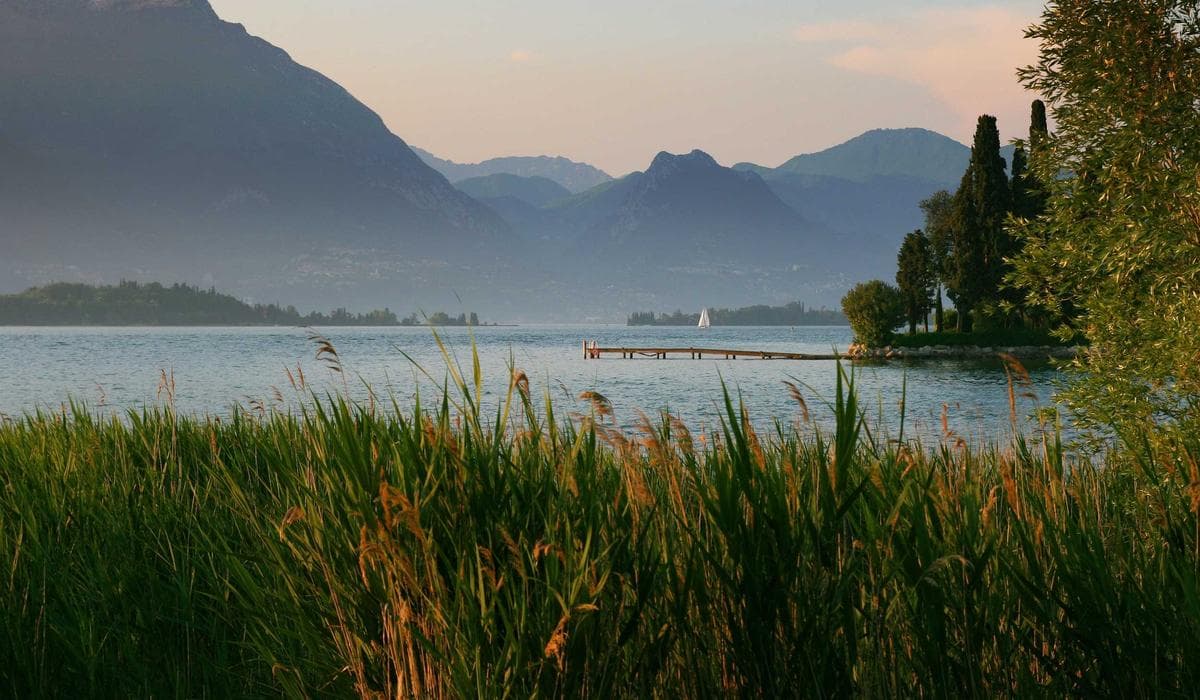 Tulsi mala and incense on a puja altar