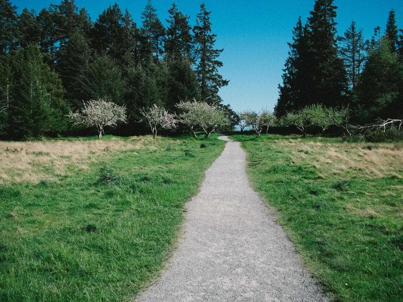 Morning meditation session in the main hall