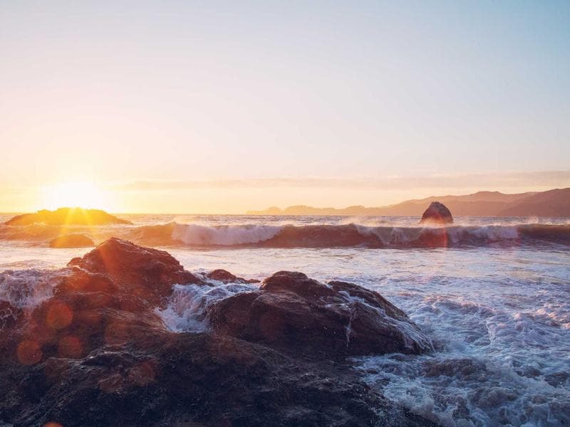 Library and study hall