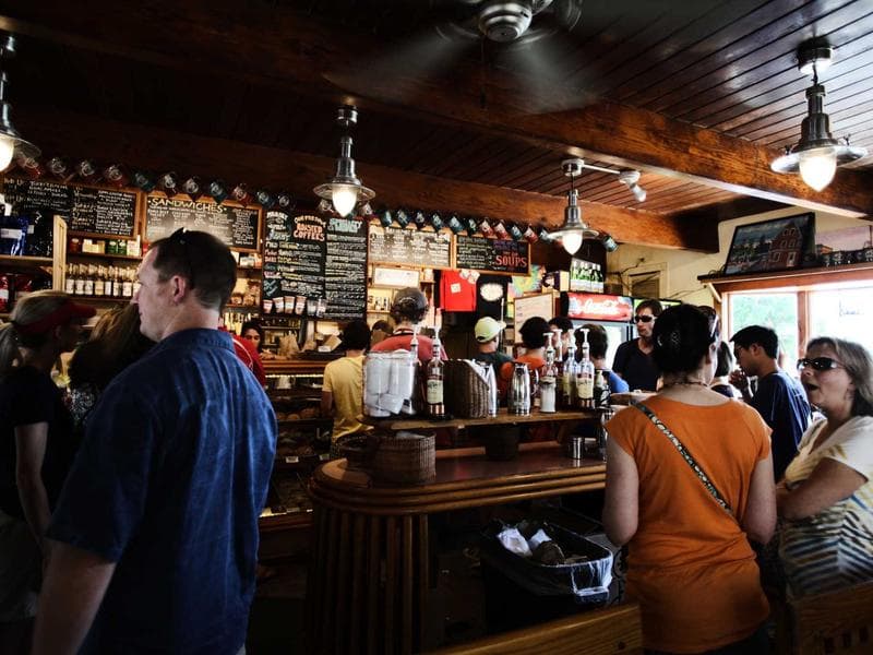 Peaceful nature trail through the forest